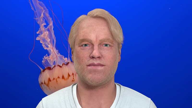 세실 에반스, 하이퍼링크가 아니라면 일어나지 않았을 일, 2014, HD 비디오, 카펫, 프린트된 이미지, 화분, 22분37초, 작가 및 엠마누엘 라일 갤러리, 비엔나; 로마 소장, 잉글랜드예술위원회 후원