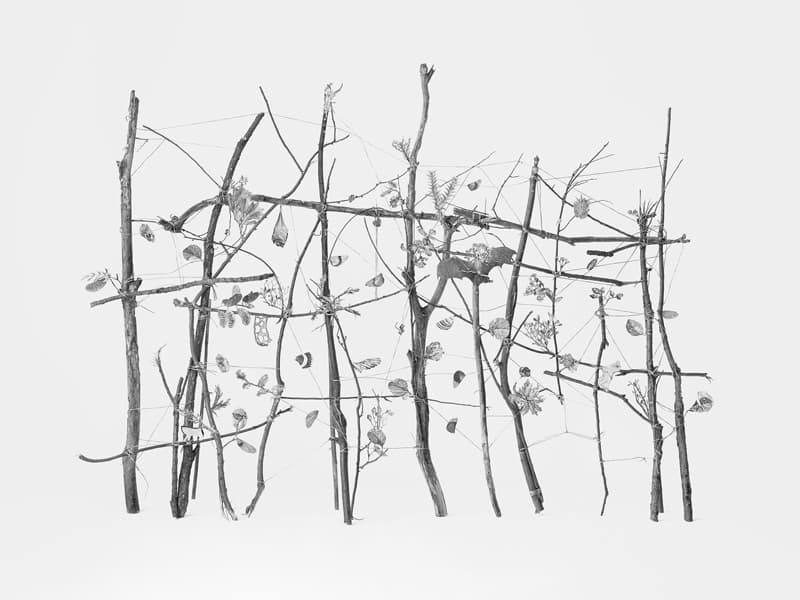 권도연 _ 섬광기억 #콩나물 1 _ 피그먼트 프린트 _ 105x140cm _ 2019
