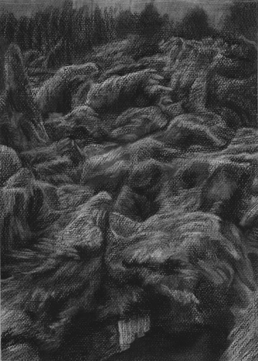 제주 원시림, 종이에 목탄, 28.5x21cm, 2019