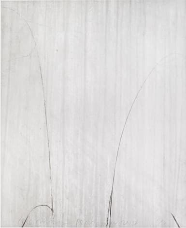 민병헌 Byunghun MIN, Weed uq01, 1996, print year 2014, Gelatin silver print, 120x103cm