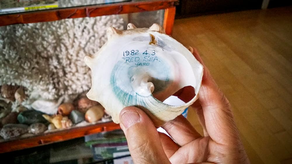 제페트, 공중정원, 고래기름, 쉘 Zepheth, Whale Oil, Hanging Gardens, Shell(사전예약필요) 1