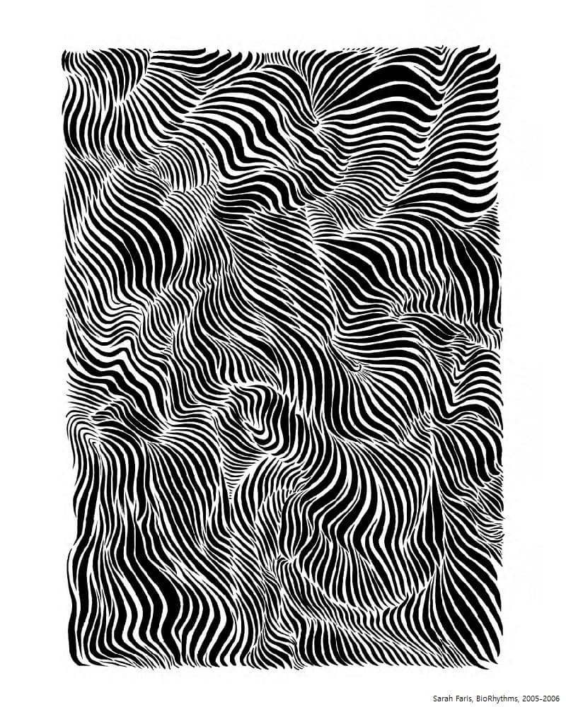 Sarah Faris : BioRhythms 1