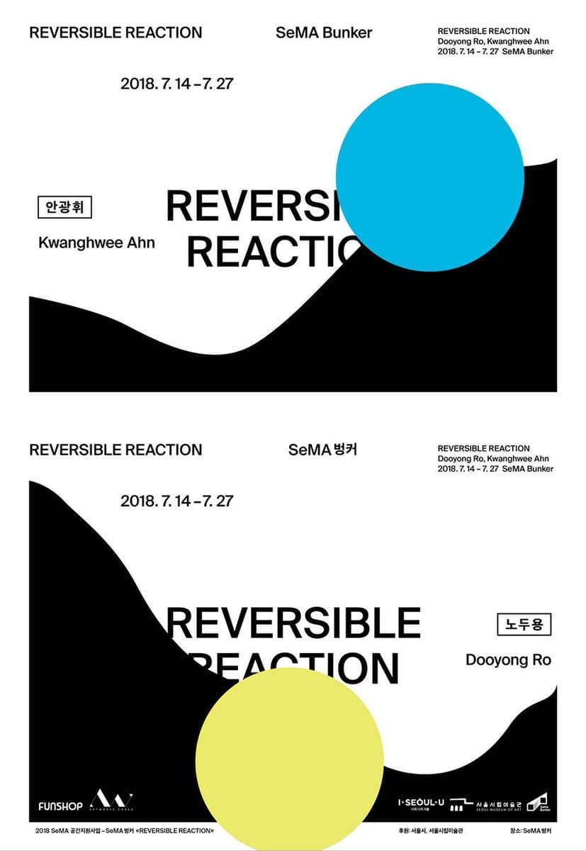 노두용, 안광휘 : 가역반응 Reversible Reaction 1