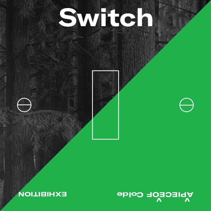 APIECEOF Colde : Switch 2
