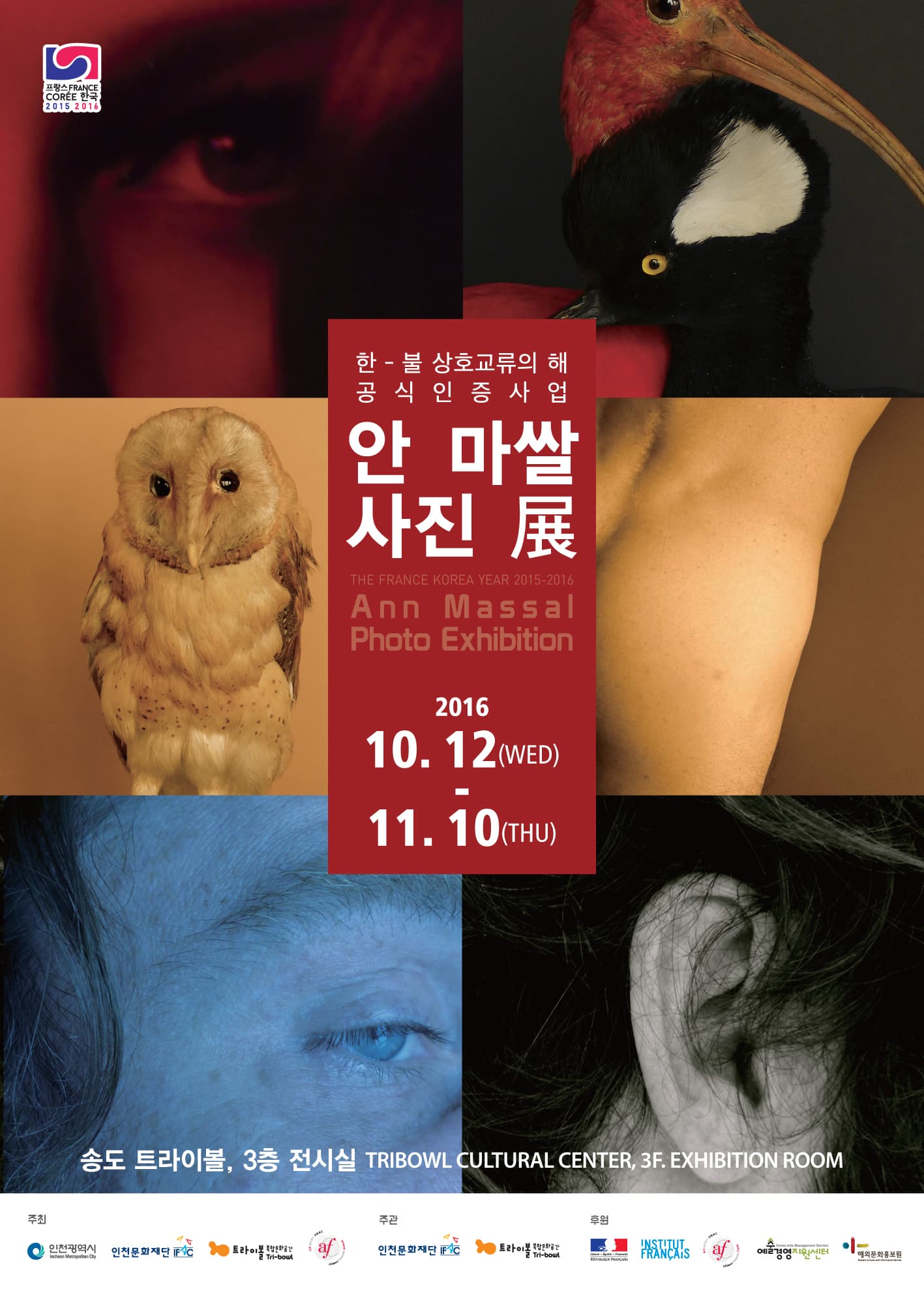Ann Massal 사진전 : 깃털/깃털뽑기