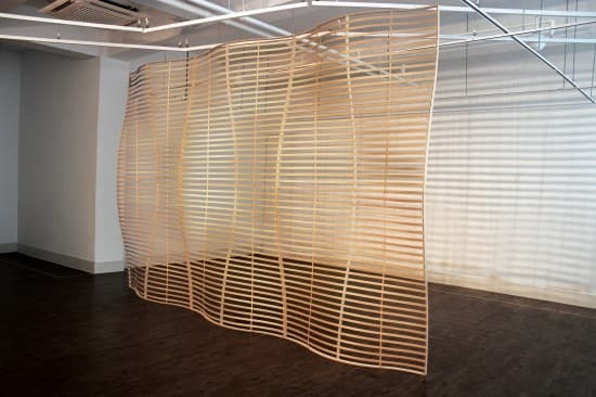 왕현민 개인전 : The Organic Structure