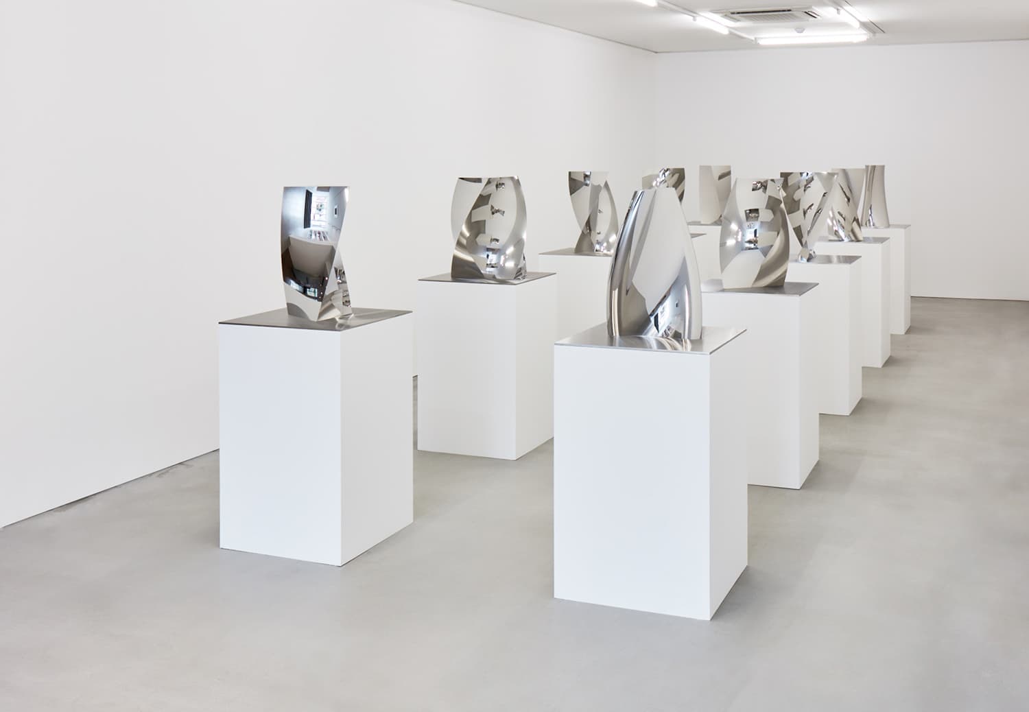 Anish Kapoor : Gathering Clouds