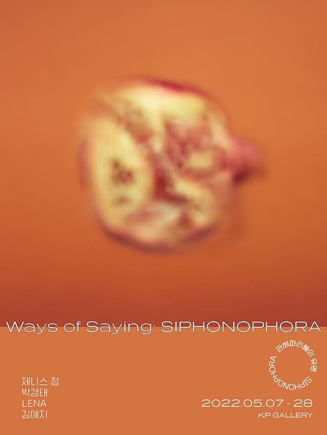 WAYS OF SAYING: SIPHONOPHORA 관해파리들의 유영 1