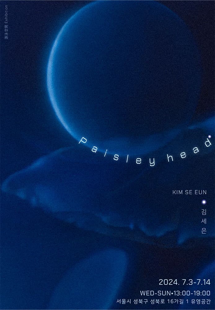 김세은: Paisley head 1