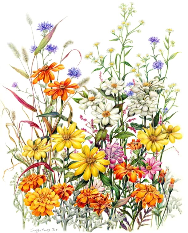 보타니컬 아트 6인전 Works of Six Botanical Artists 1