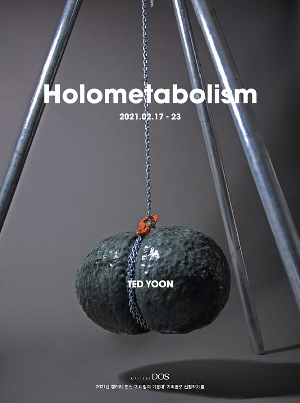 윤영문 : Holometabolism 1