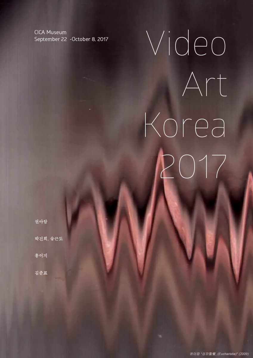 Video Art Korea 2017 1