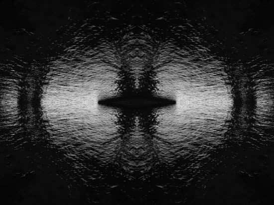 임도형 개인전 : Delusions