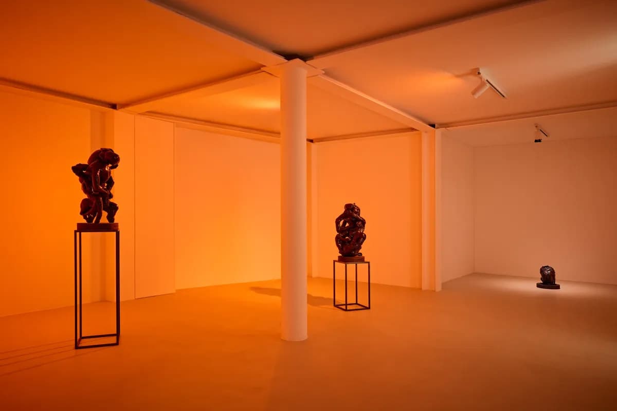 Jonathan Uliel Saldanha: Chance Room 1