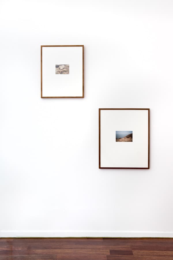 사슴과 뱀, 2점의 스냅사진 10x15(cm), 8.9x12 (cm) 이미지제공 : 그리고갤러리