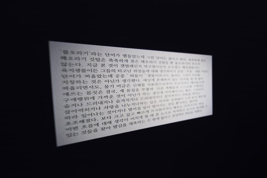 사냥꾼의 밤, 슬라이드 필름, 슬라이드 영사기, 벽에 투사된 글 이미지제공 : 그리고갤러리
