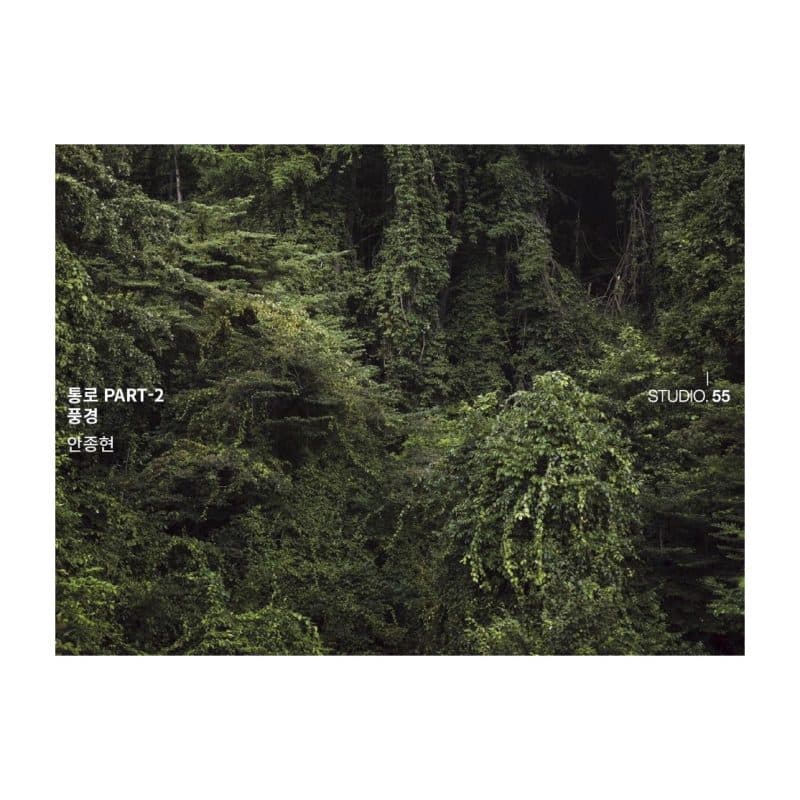 안종현 개인전 : 통로 part-2 풍경 1