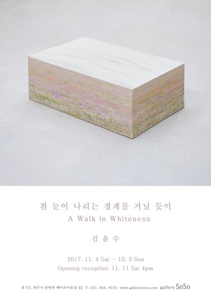 김윤수 개인전 : 흰 눈이 나리는 경계를 거닐 듯이 A Walk in Whiteness 1