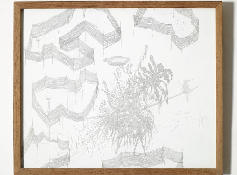 홍범, <알 수 없는 숲 #1~5> 연필, 수채화 종이, 43cm X 36cm, 2016