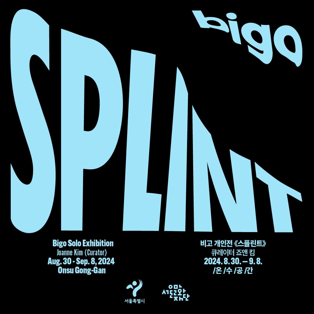 BIGO: 스플린트 1
