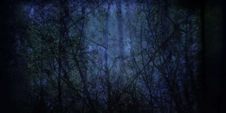 <Blue Forest>, 280×140㎝, mixed media on paper, 2014