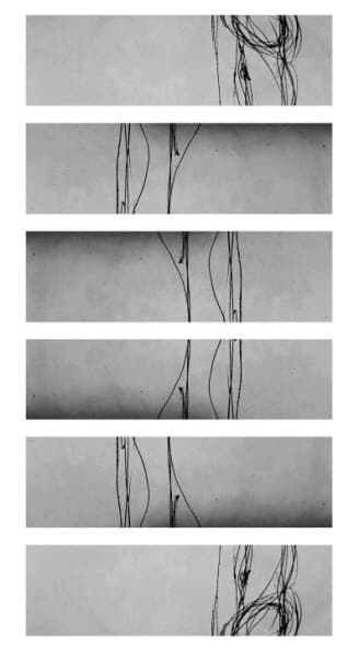 최재, 火水未濟 (화수미제), muk drawing print, 64*128, 2015