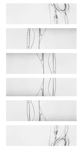 최재, 화수미제 드로잉, muk drawing print, 30*55, 2015