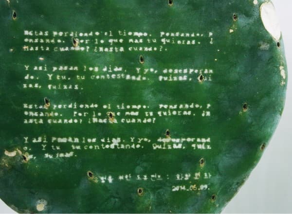 최지은, 유령을 위한 포퍼먼스;화양연화(remains 살아있),선인장, 선인장 위에 바늘 새김, 30×30×80㎝, 2014