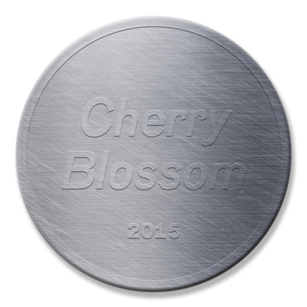잭슨홍 개인전 : Cherry Blossom 1