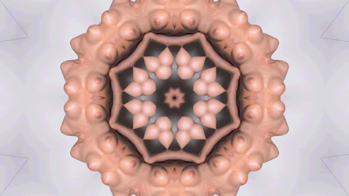STEREO-GANDA ver. 2.0 : FLOWER | Mono Screen Motion Projection, 10min, 2012