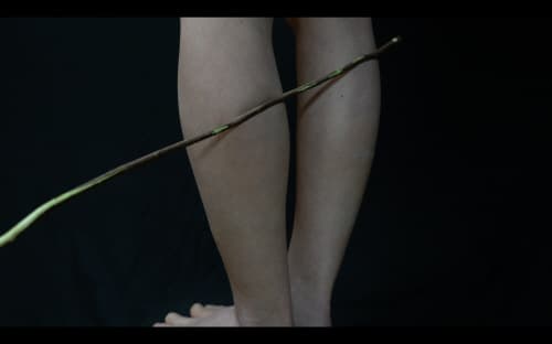 가창창작스튜디오 2016 입주작가 개인전 정주희 : designed desire 1
