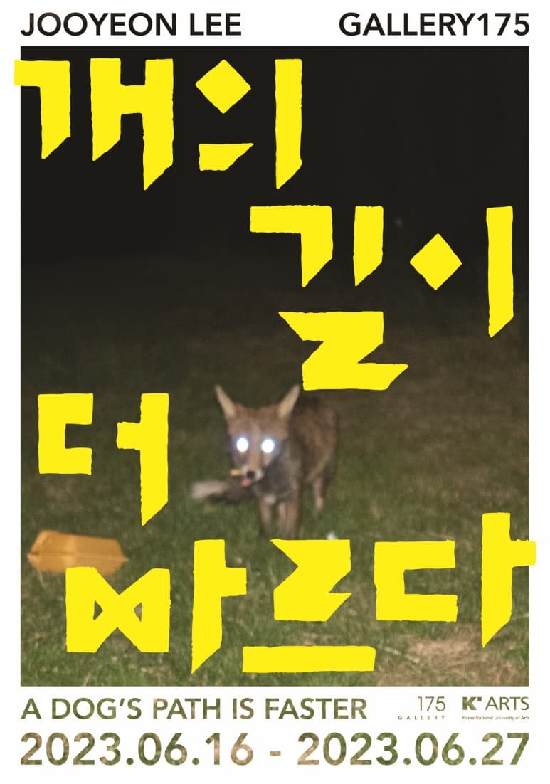 이주연 개인전: 개의 길이 더 빠르다 1