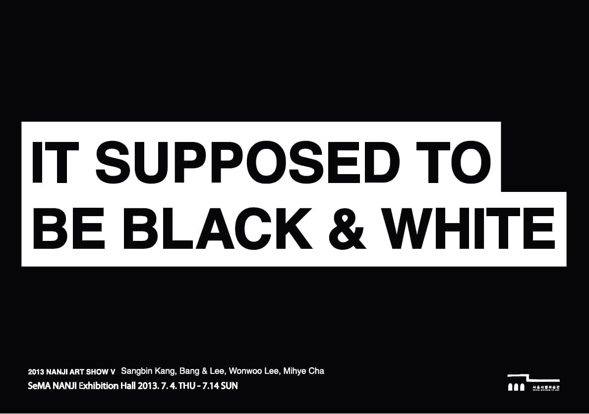 2013 난지아트쇼 V : IT SUPPOSED TO BE BLACK & WHITE 1