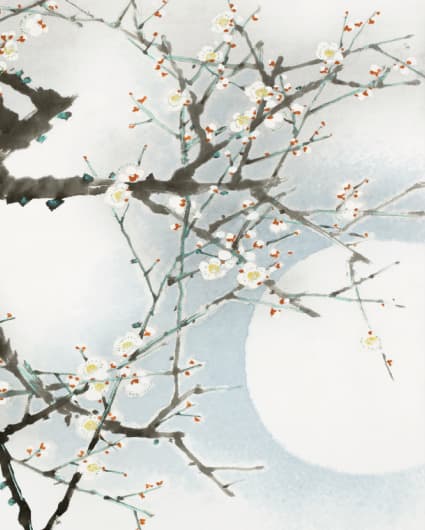 四君子, 다시피우다 1