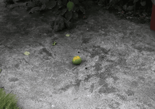임흥순, <비념>, 2012