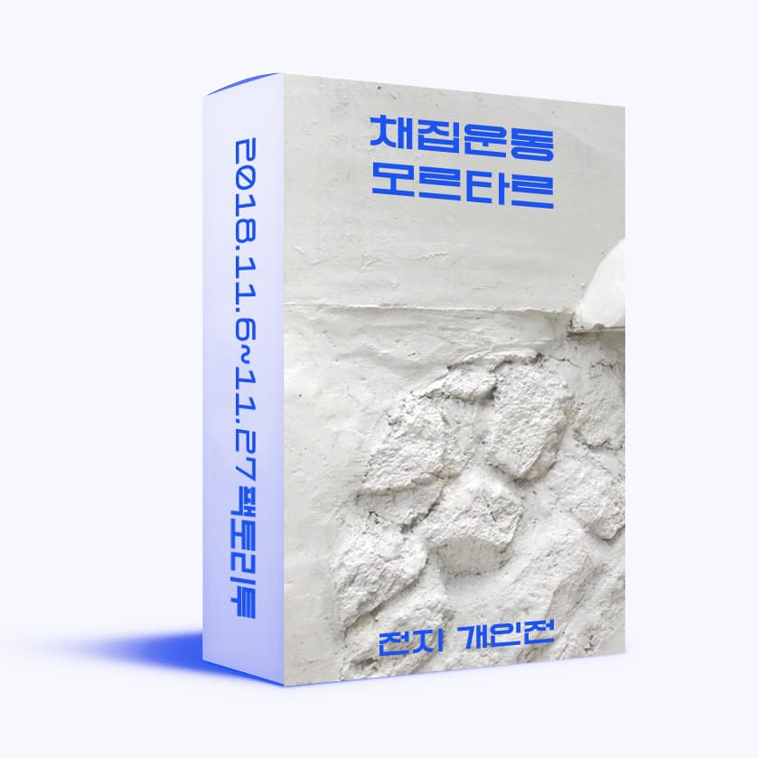전지 개인전 : 채집운동 모르타르 1