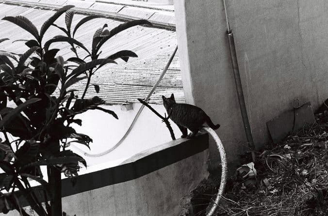 ⓒ이갑철, 침묵과 낭만, 중구, Gelatin Silver Print, 40.6x50.8cm, 2014