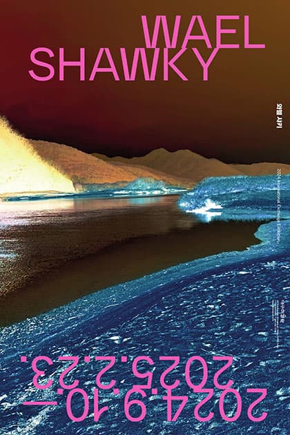 와엘 샤키 Wael Shawky 1