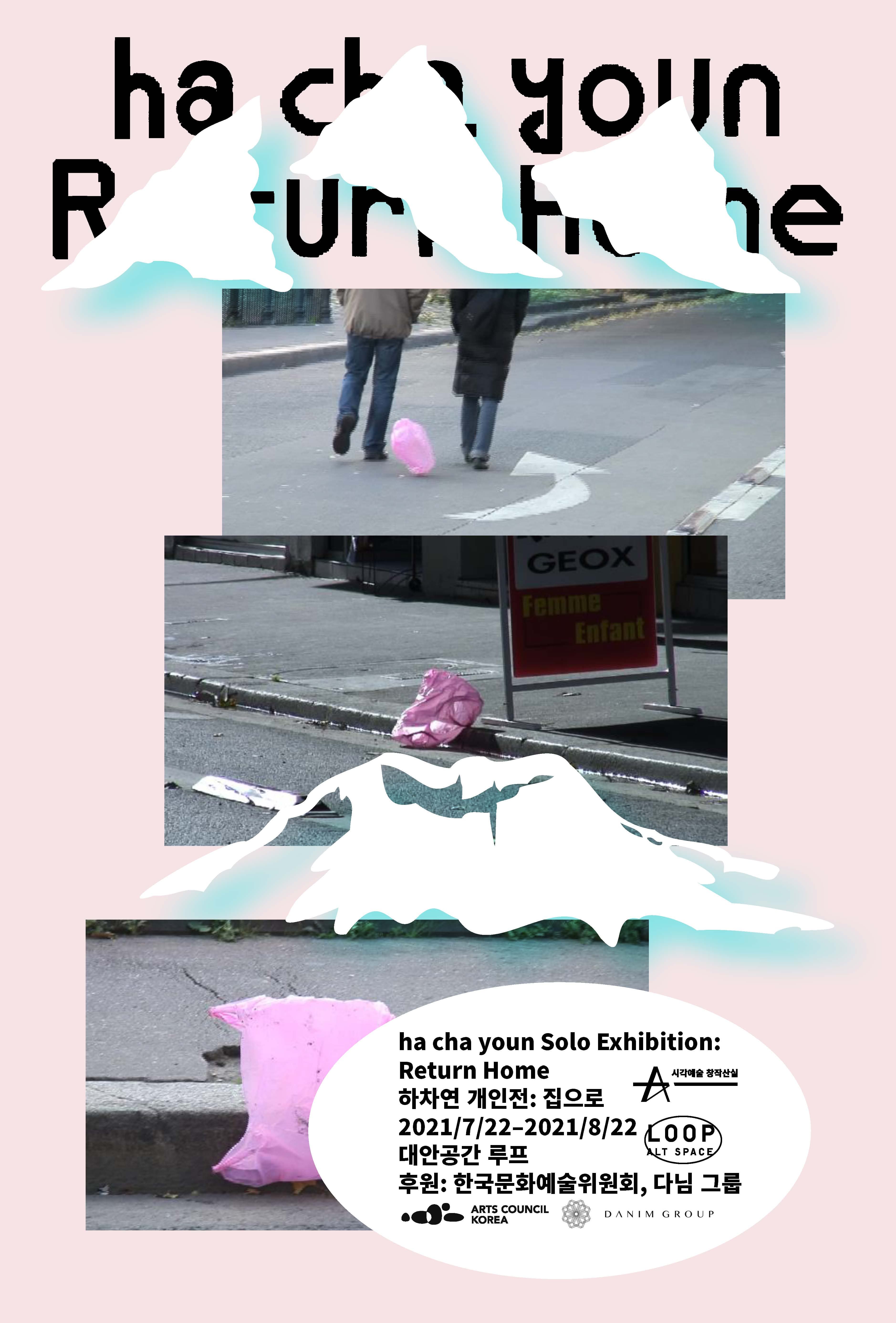 하차연 개인전: 집으로 ha cha youn: Return Home 1