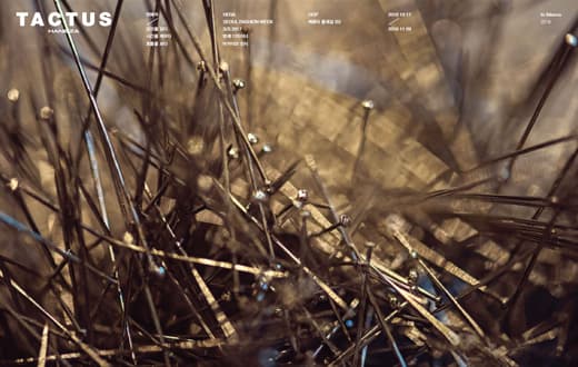 HANEZA Exhibition : Tactus 촉각 3