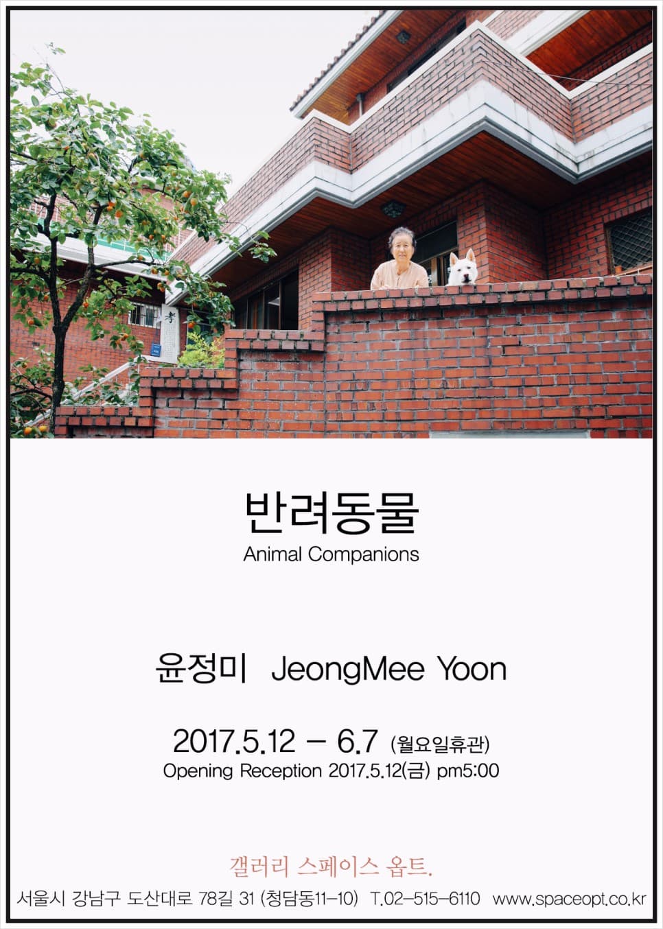 윤정미 개인전 : 반려동물 JeongMee Yoon : Animal Companions 1