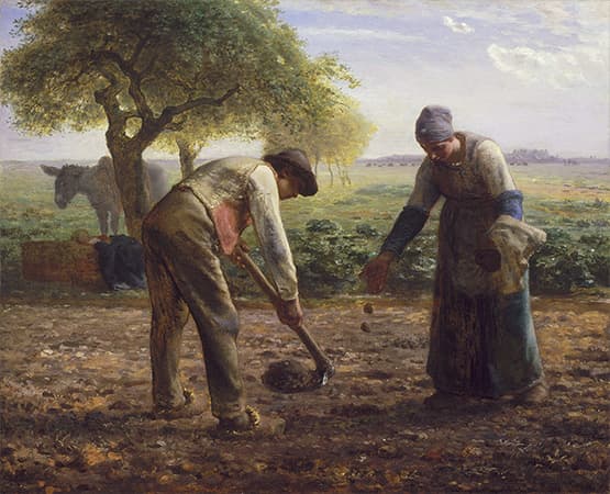 <감자 심는 사람들> 장 - 프랑수아 밀레, 1861 년경 캔버스에 유화, 82.5x101.3cm, 보스턴미술관