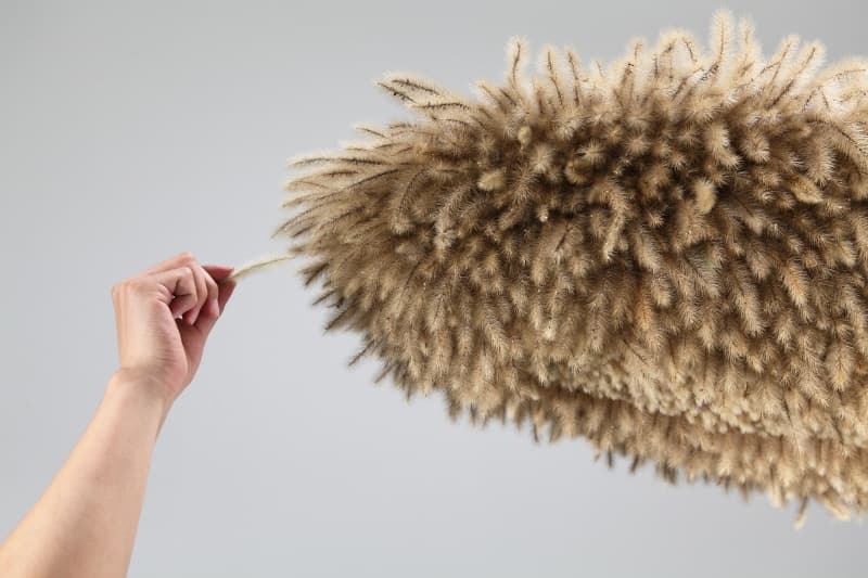 장용선, Treasure170321,foxtail,260x75x35cm,2017