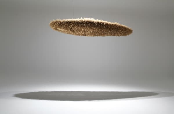 장용선, Treasure170321,foxtail,260x75x35cm,2017
