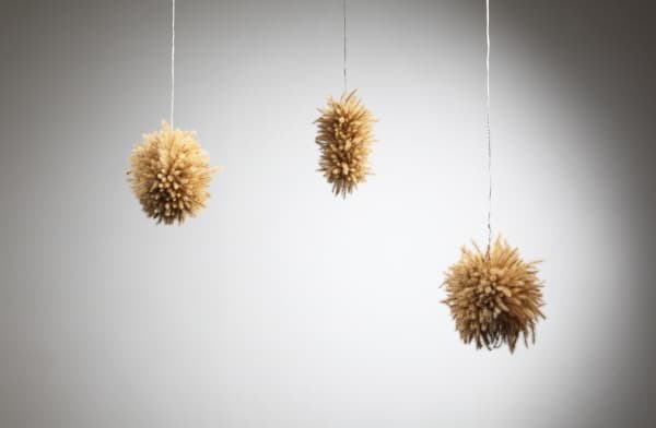 장용선, Treasure series,foxtail&LED,2017