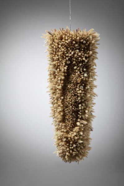 장용선, Treasure170126,foxtail&LED,32x30x67cm,2017