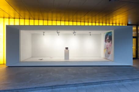 무제(K.Va의 가을) 2016 유포지에 프린트, 계절 공예품,  플레이스테이션2 8MB 메모리 카드, 사진 및 CD가 포함된 플레이스테이션2 전용 게임 케이스 가변 크기