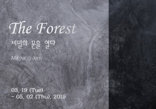 김미경 개인전 : The Forest 비밀의 문을 열다 1