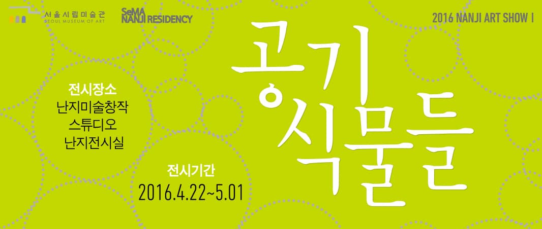 2016 난지아트쇼 1 : 공기식물들 1