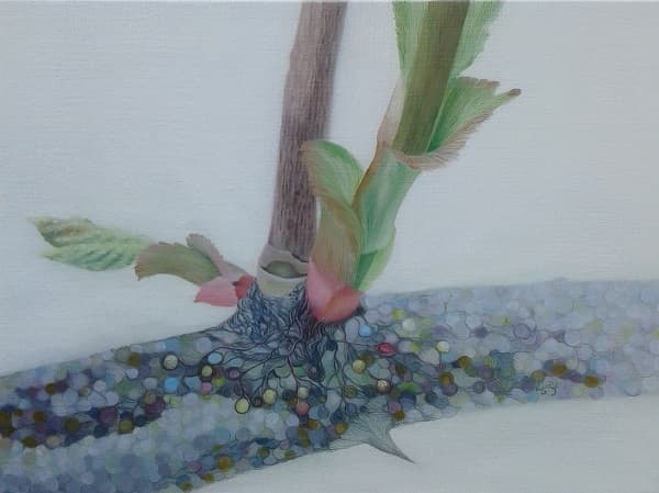 Sprout13, Oil on canvas, 33.5 x 45.5cm, 2014